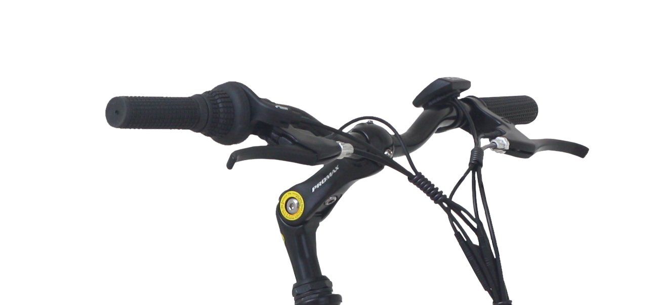 Biciclette: Gebrauchtes E-Bike City ROXY rosa – Usato da Stans venduto da gonser 4