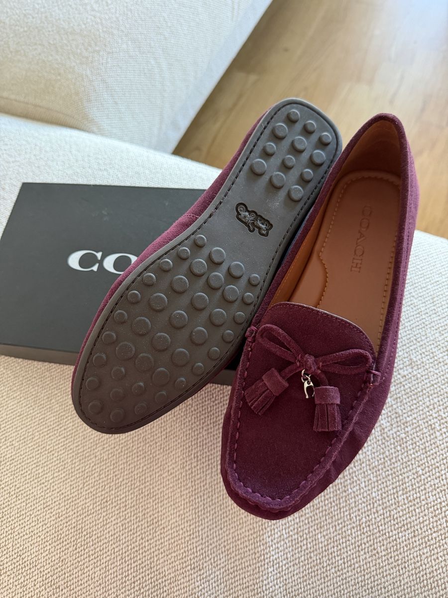 Scarpe da donna: Neue ungetragene Coach Schuhe – Nuovo e nell'imballaggio originale da Zollikerberg venduto da Diamond_86 1
