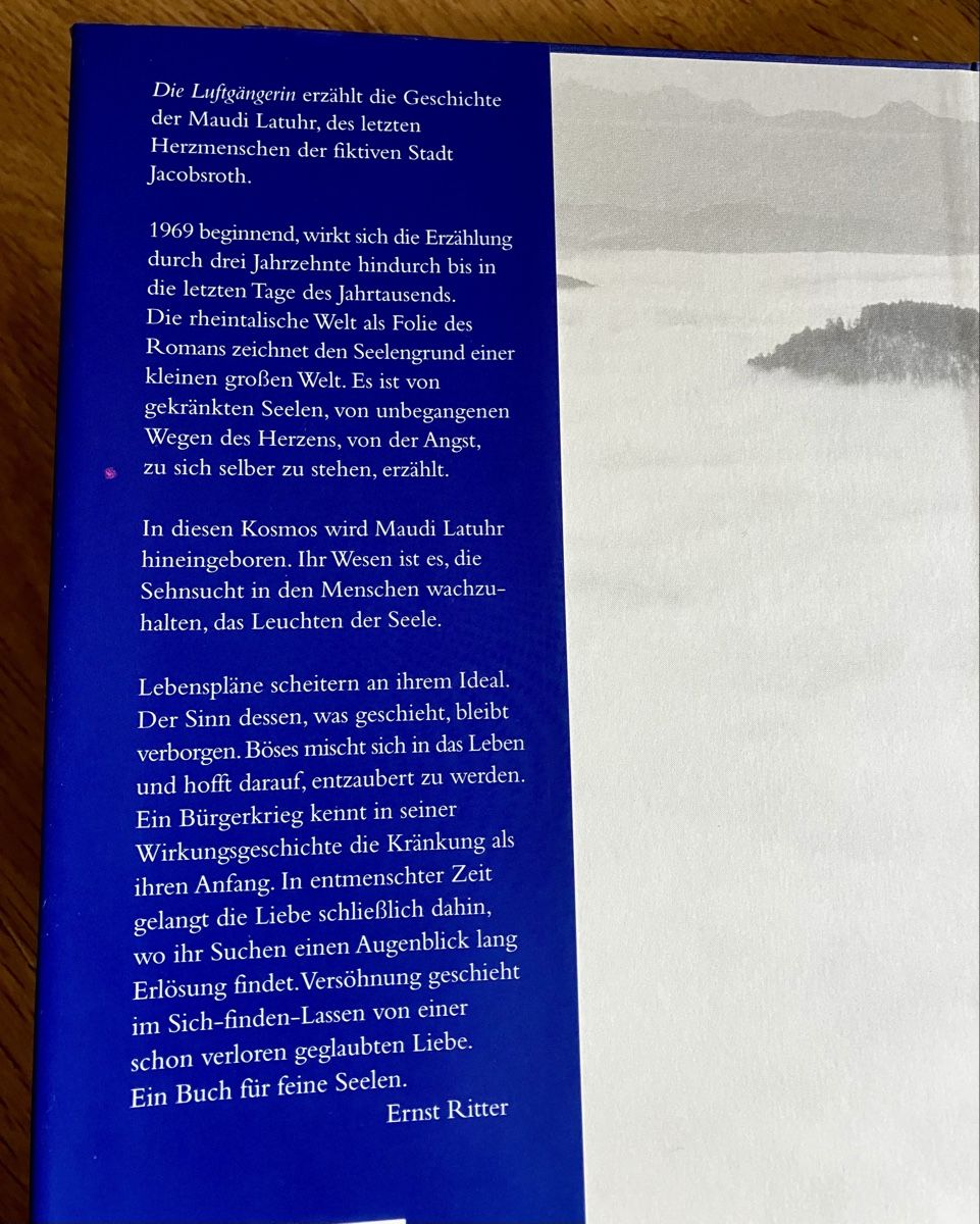 Livres: Robert Schneider: Die Luftgängerin – D'occasion à Buchs AG par Allerleis 2