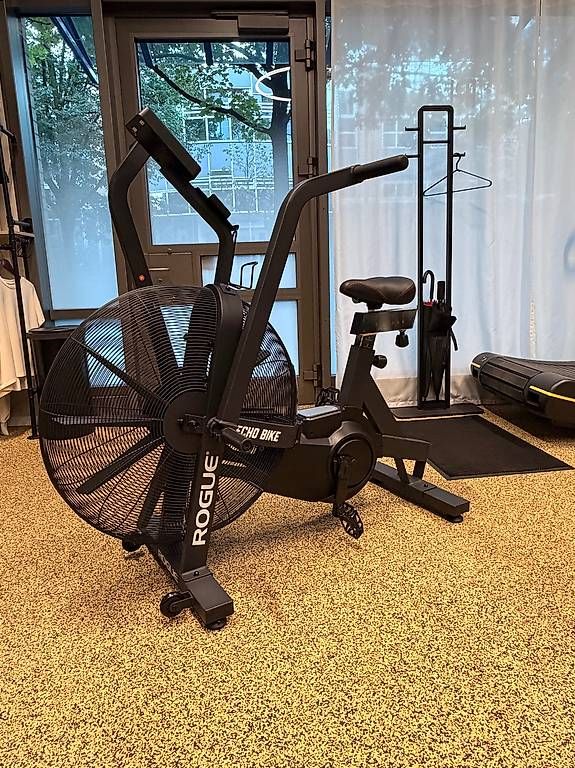 Rogue Hometrainer: Rogue ECHO Bike v3.0 – Gebraucht aus Zug von rwey6300