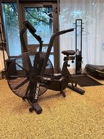 Rogue ECHO Bike v3.0