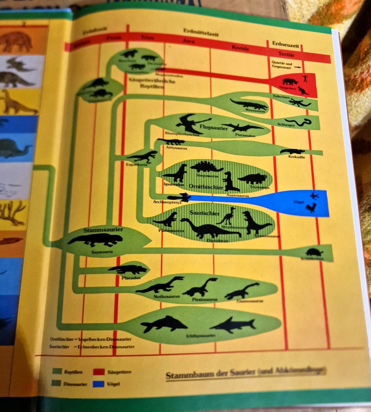 Livres: Dinosaurier und andere Tiere der Urzeit – D'occasion à Winterthur par Versus0 1