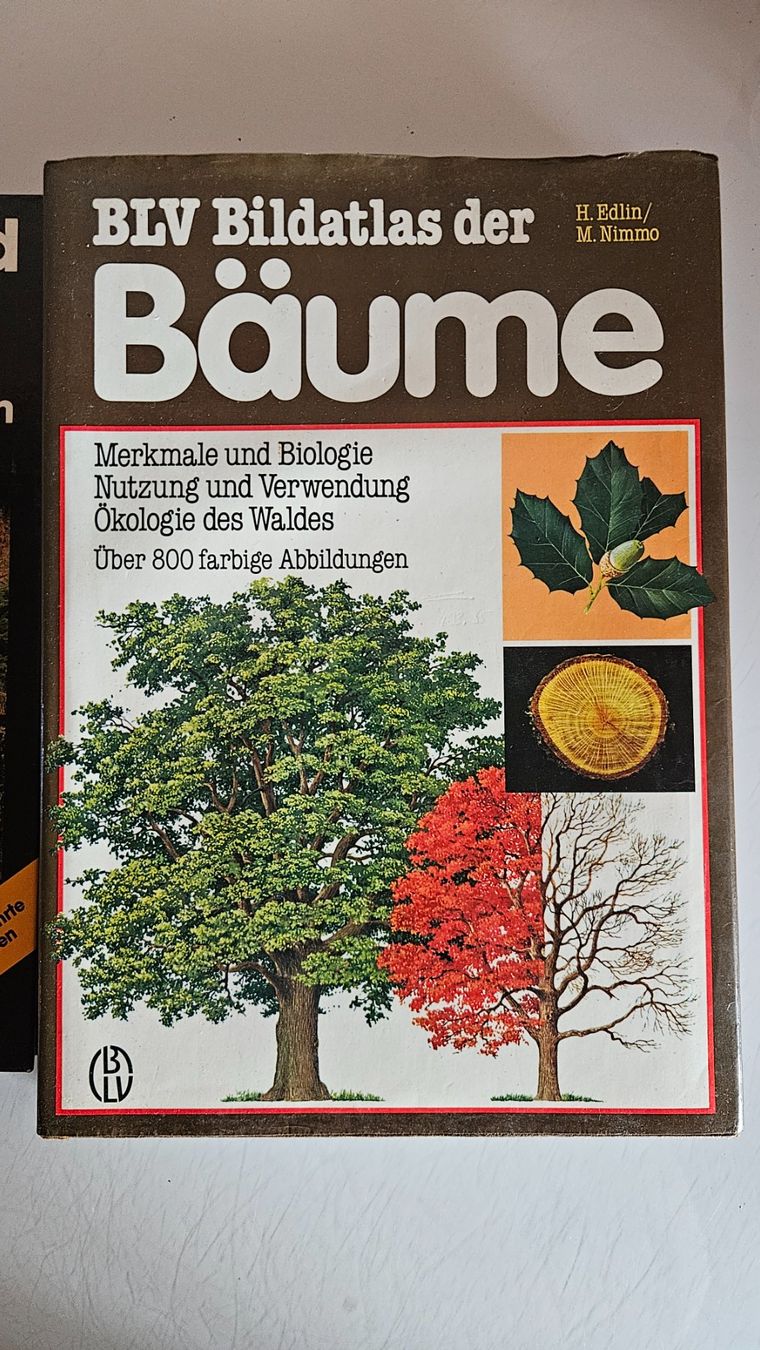 Libri: Bücher Bäume Sträucher – Usato da Basel venduto da True_Hofer_Store 1