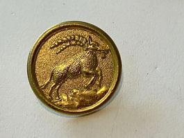 1 Pin Steinbock Sternzeichen