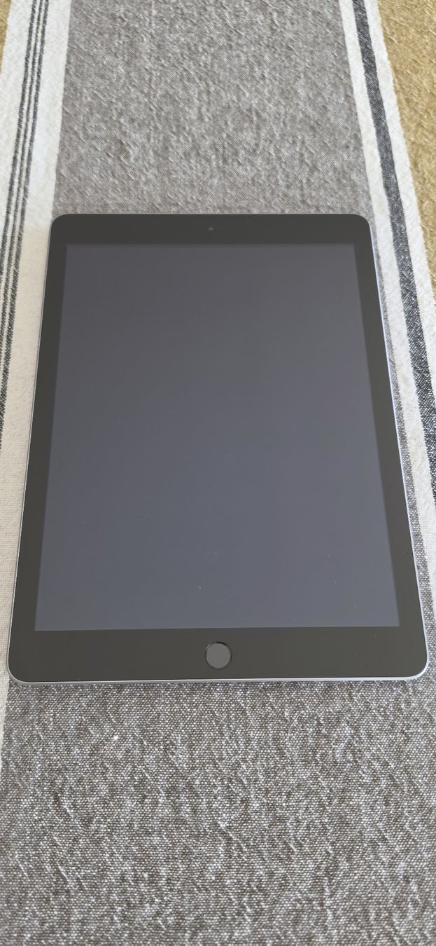 Apple Tablet PC: Apple iPad 9.7 | 5. Generation | 128GB | Space Grau – Usato da Beinwil am See venduto da star_link