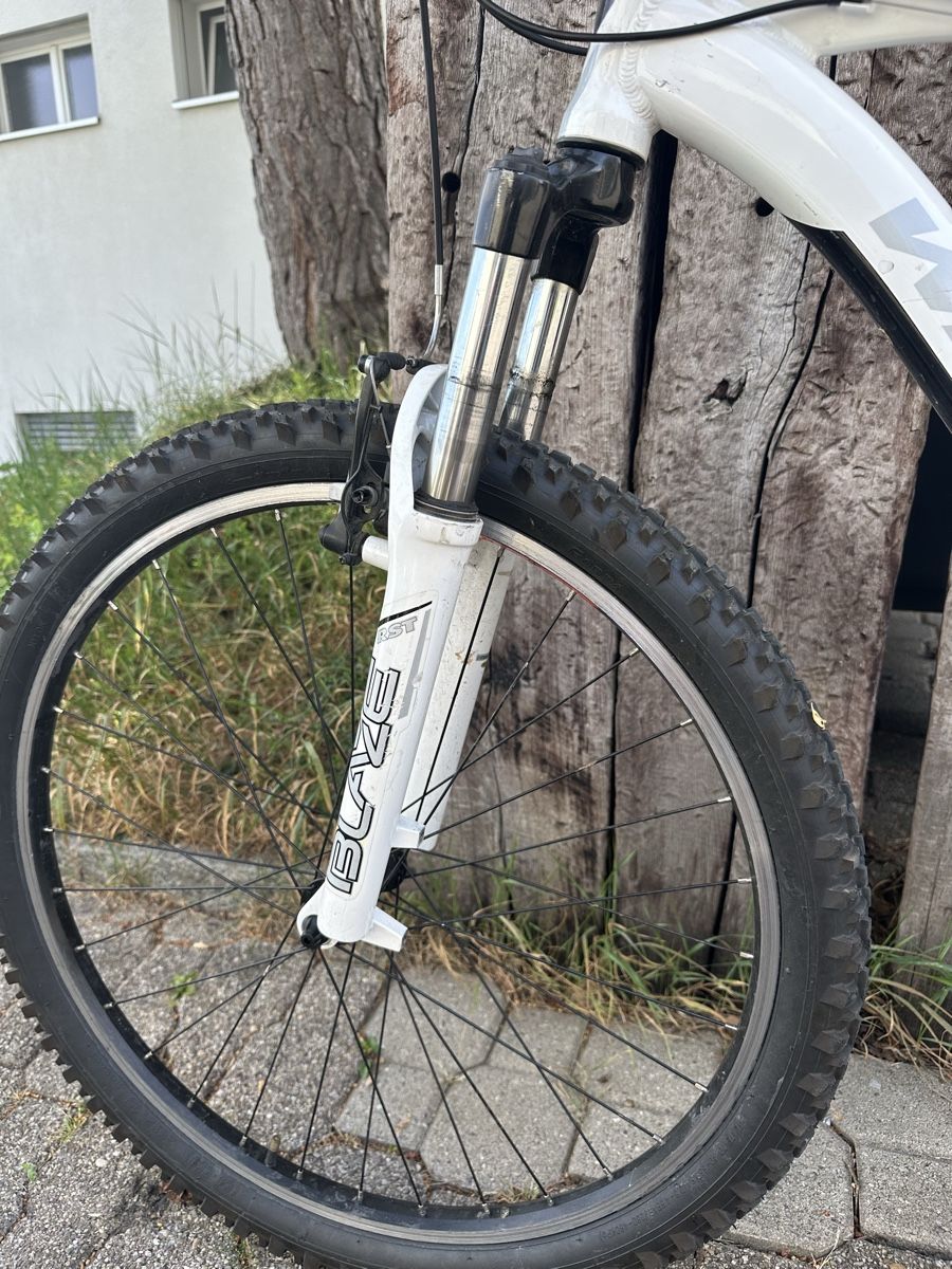 Wheeler Biciclette: MTB WHEELER TRAil 9 – Usato da Zürich venduto da Alek7 5