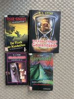 R.L. Stine Gruselfieber, Gänsehaut, Fear Street Bücher 4 Stk