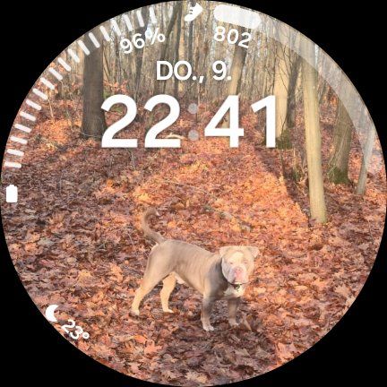 Samsung Smartwatch: Samsung Galaxy Watch 7 BT 40 mm – Gebraucht aus Buttwil von fam_yn5w 6