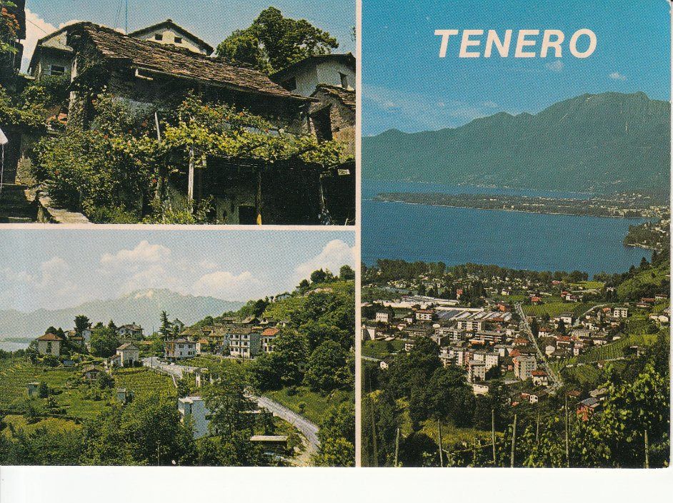 Cartoline postali: Tenero 1981 – Usato da Bürglen TG venduto da StampGraf