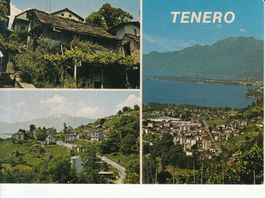 Tenero 1981