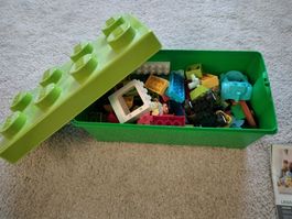 Duplo
