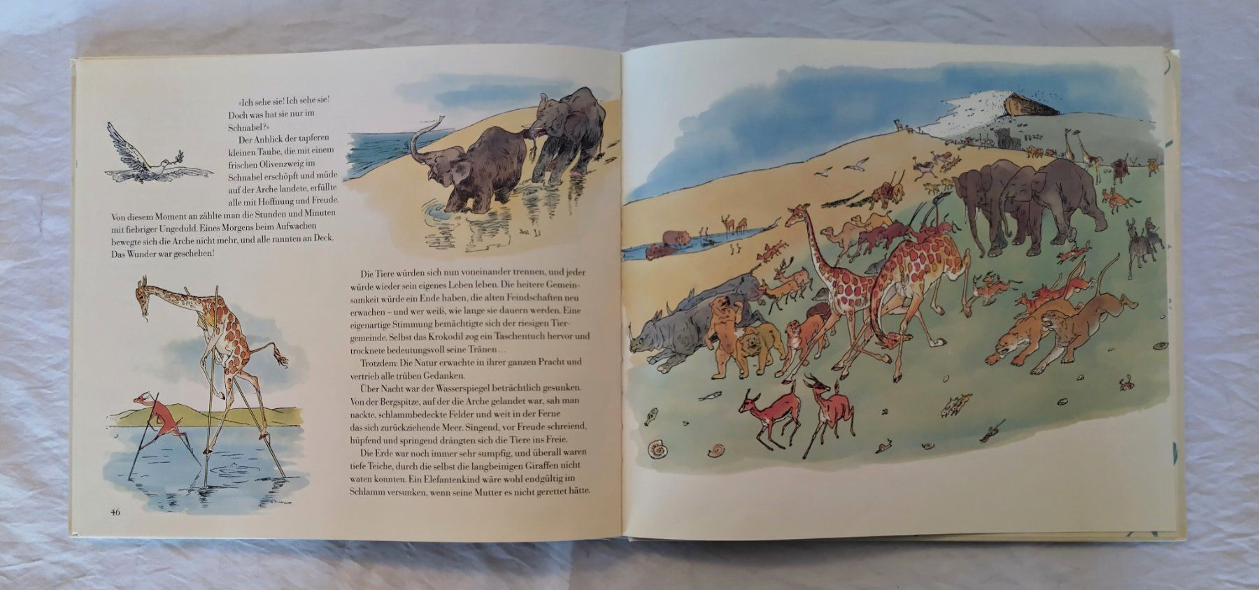 Libri: Die Arche Noah - Bilderbuch mit Humor ab Fr. 8.- – Usato da Bellach venduto da JingleJerry 8