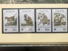 St.Kitts 1986 Satz WWF Grüne Meerkatze postfrisch