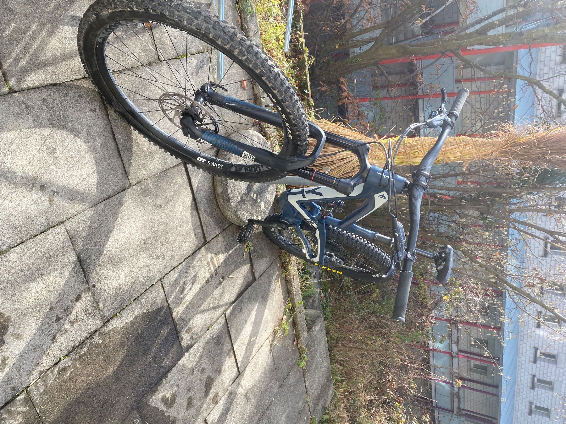 YT Biciclette: YT Capra 29 AL Base – Usato da Zürich venduto da rhe_9lqk 1