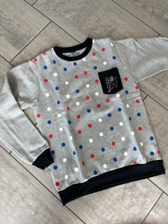 ZSC Pulli Punkte