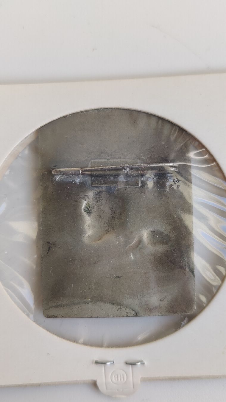 Placchette & Badge: Anstecker 1926 Binnen Schiffahrt Basel (W4) – Usato da Aarau venduto da bro_9zsg 4