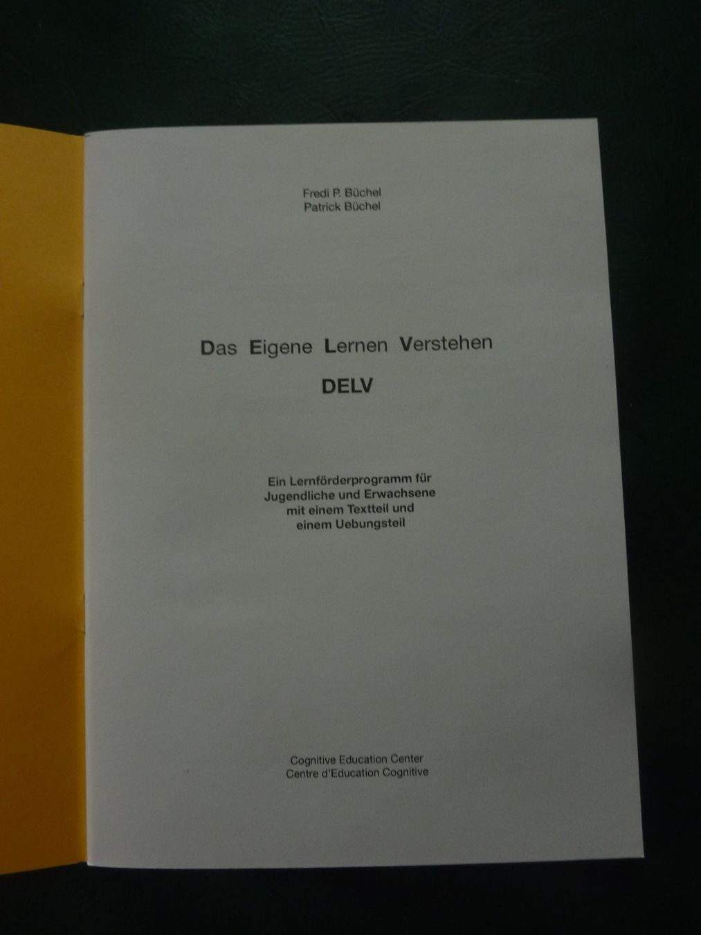 Bücher: DELV: Das eigene Lernen Verstehen – Gebraucht aus Triengen von Nussbaum14 3