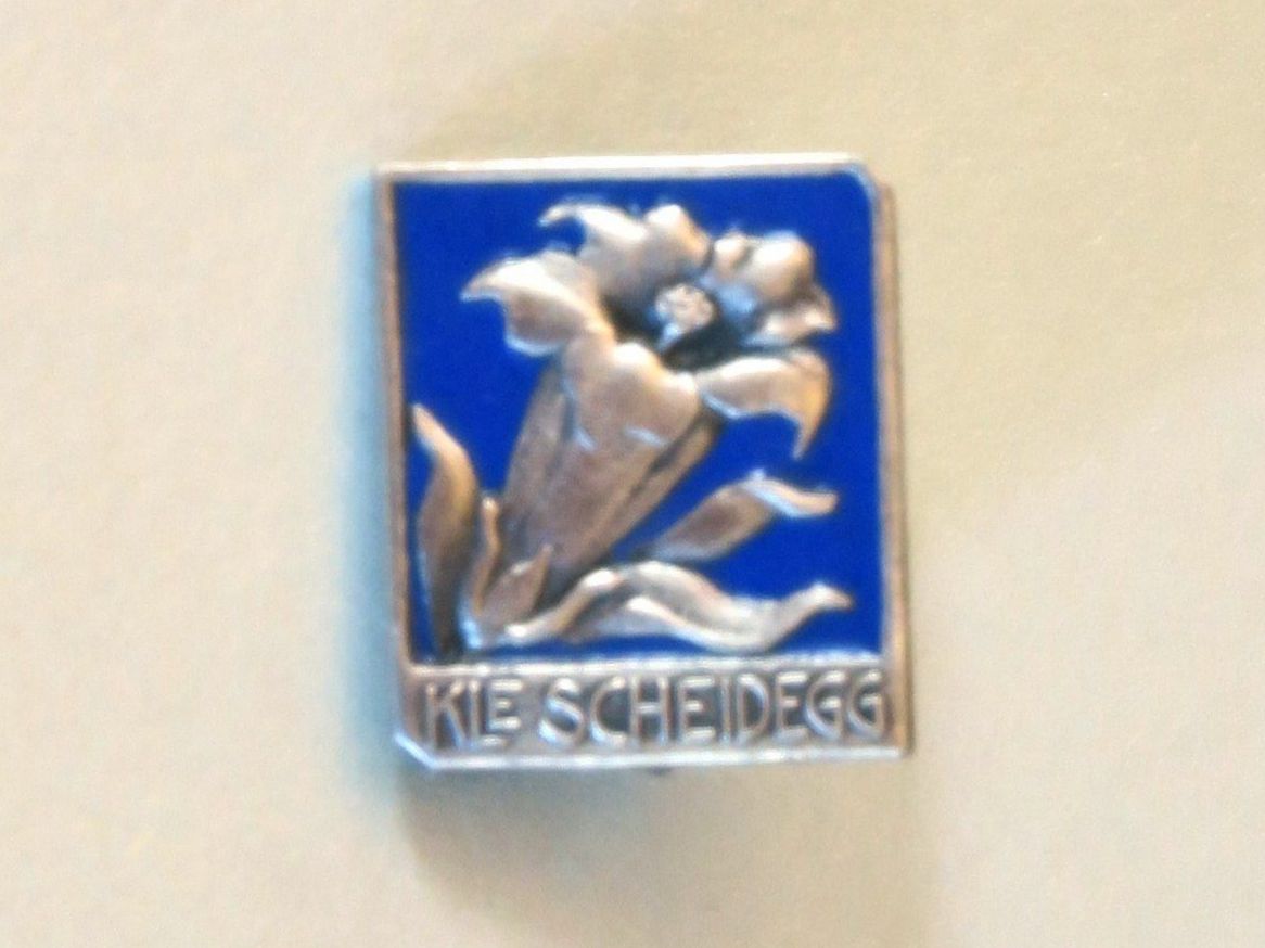 Placchette & Badge: Pin/Brosche Enzian, kleine Scheidegg – Usato da Brittnau venduto da marlenestone 2