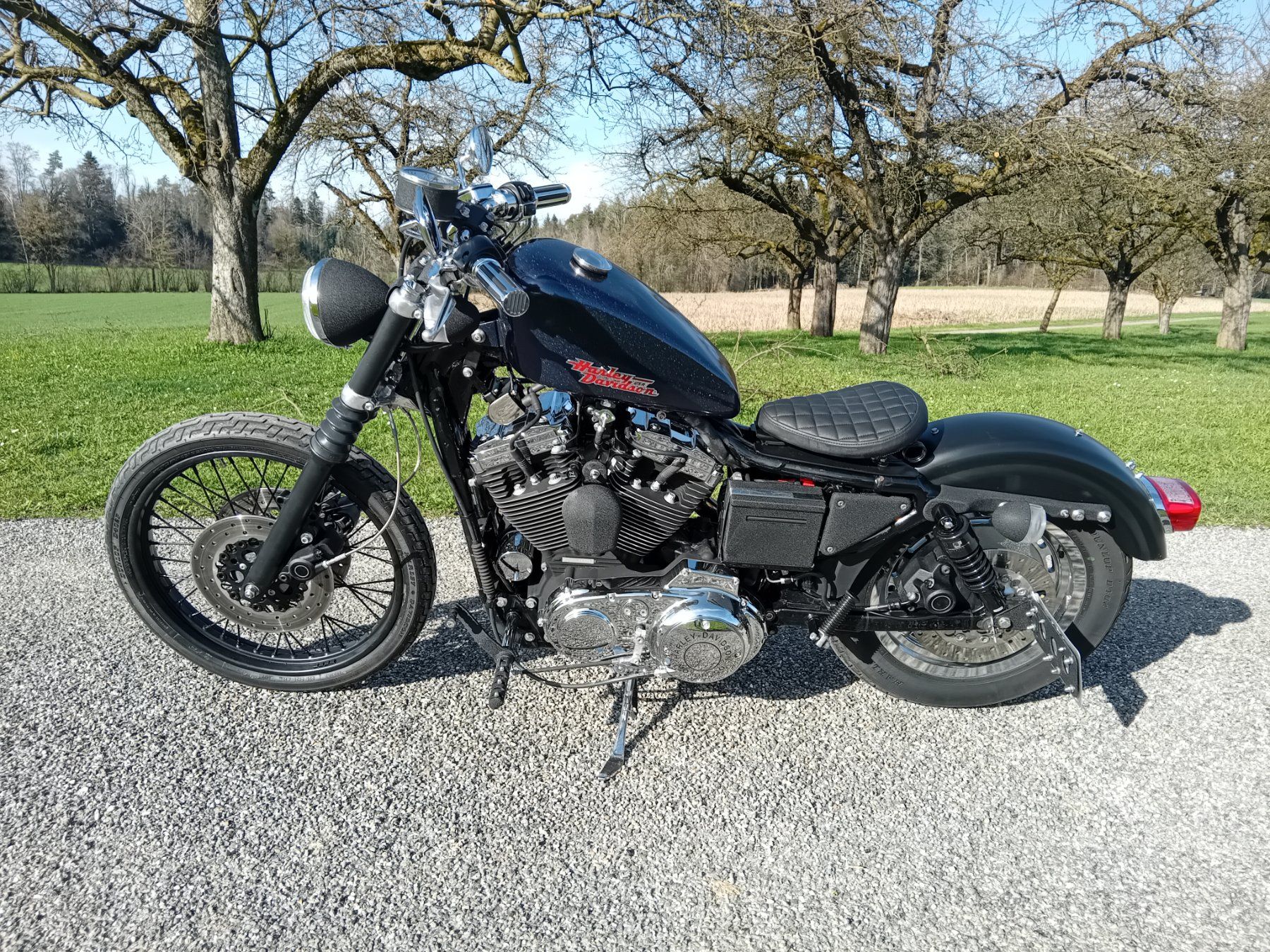 Chopper: Harley Davidson Sportster XL1200C – Usato da Langrickenbach venduto da matchless666 1