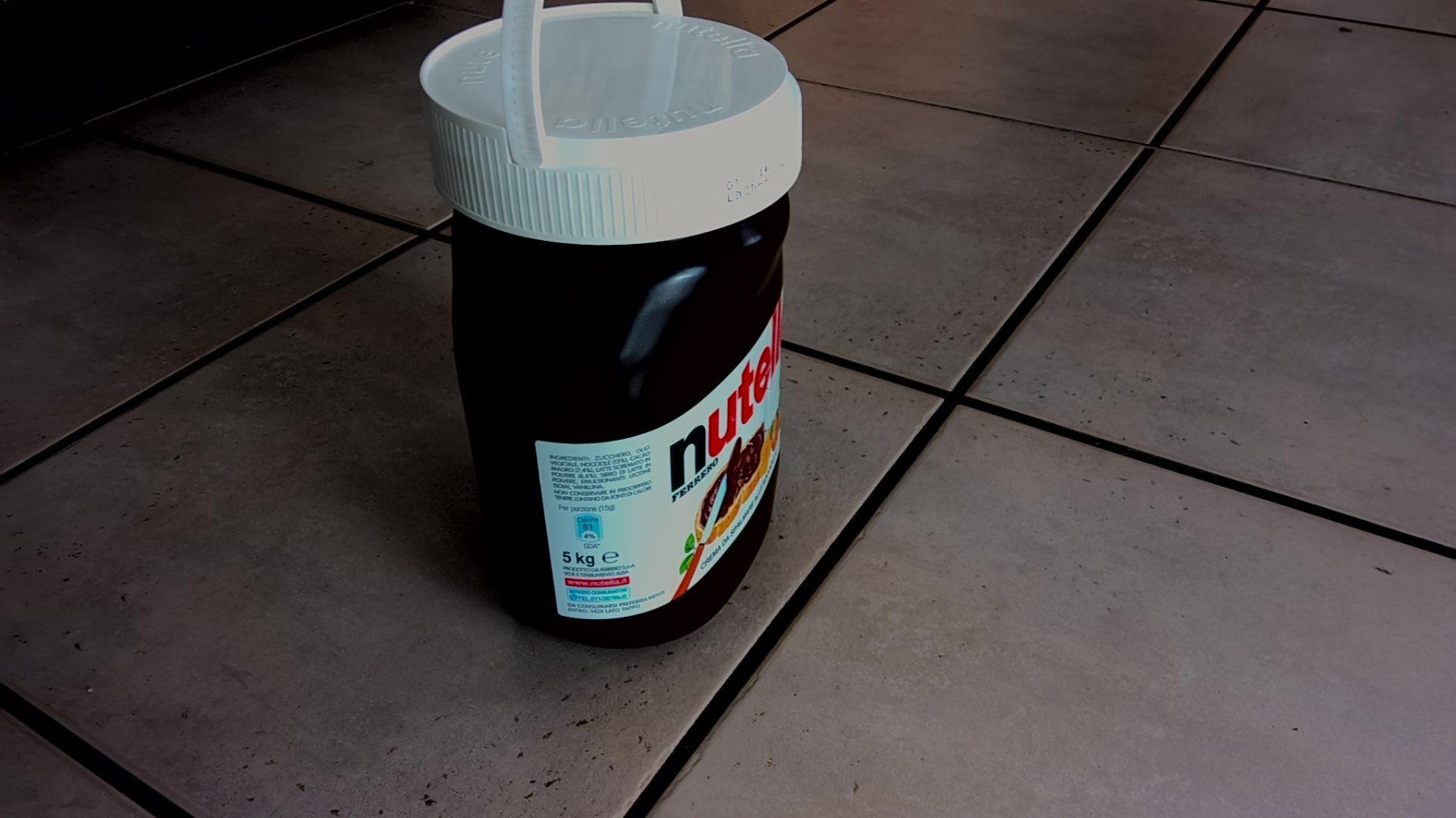 Contenitori & Simili: 5 Kg Nutella Behälter Leer – Usato da Gebenstorf venduto da Tschewie 1