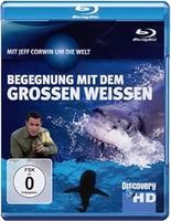 Begegnung mit dem grossen Weissen (Hai) *TOP NEU******