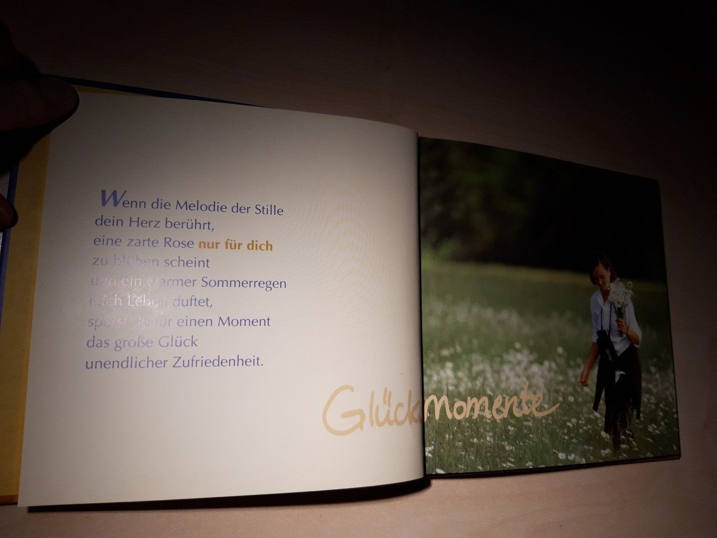Libri: Ich schenk dir tausend Sonnenstrahlen – Usato da Egliswil venduto da Cracky81 3