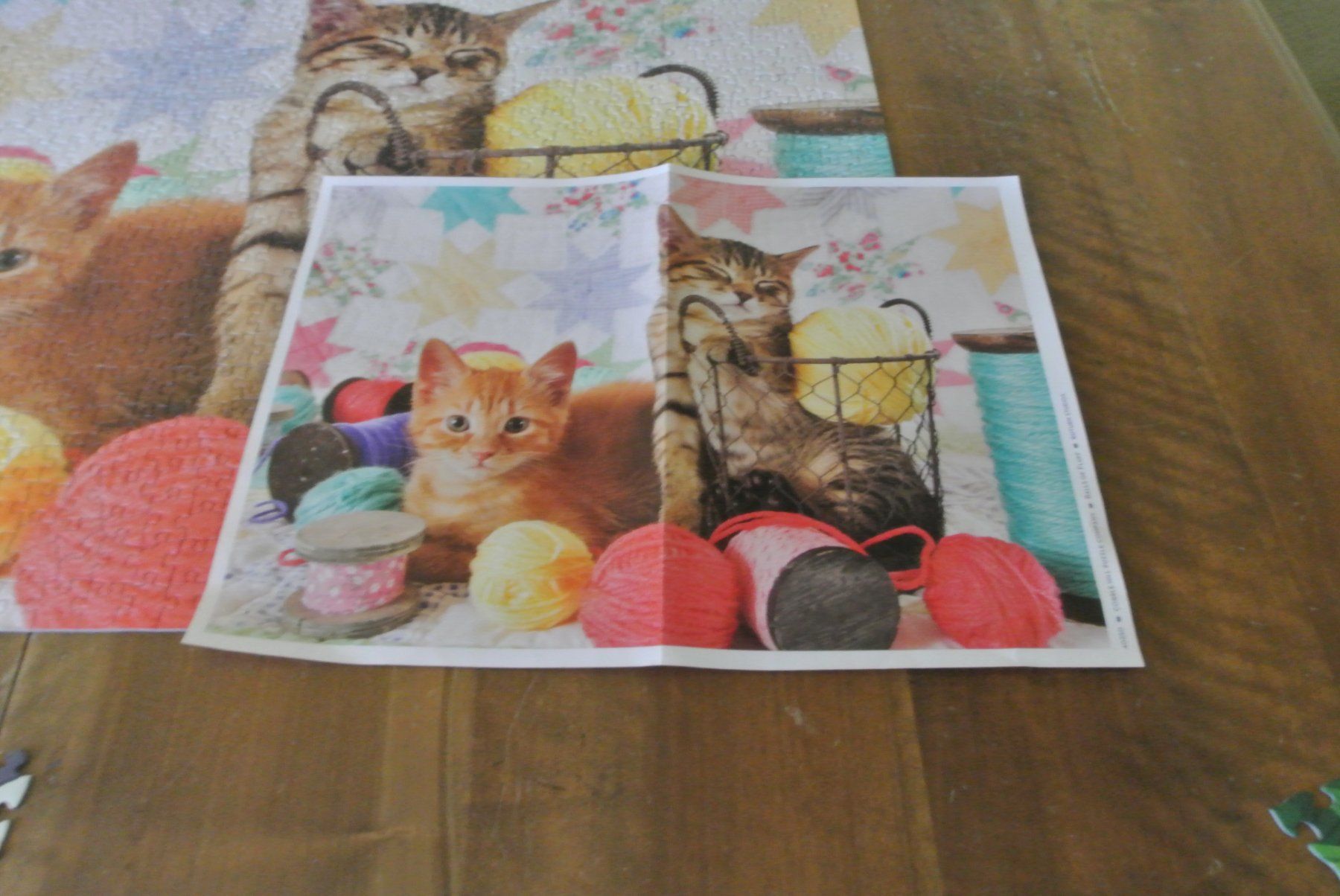 Puzzle: COBBLE HILL PUZZLES,  Katzen 1000 Teile – Usato da Rüschlikon venduto da CBPL 2