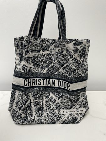 NEW Christian Dior tote bag Plan de Paris