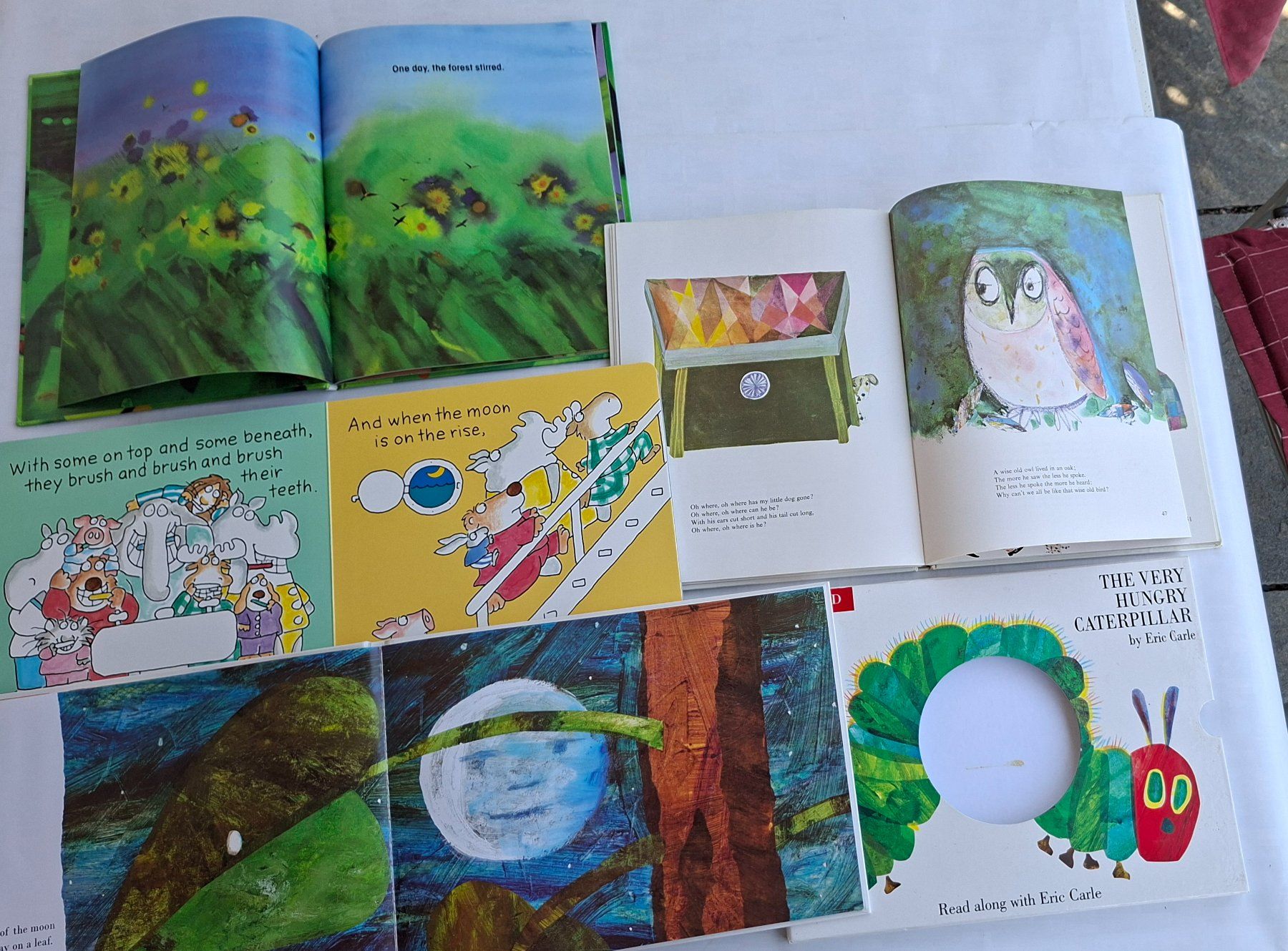 Libri: Englische Kinderbücher Konvolut 8 Stk. – Usato da Opfikon venduto da Diversamente 8