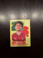 Panini Neves 