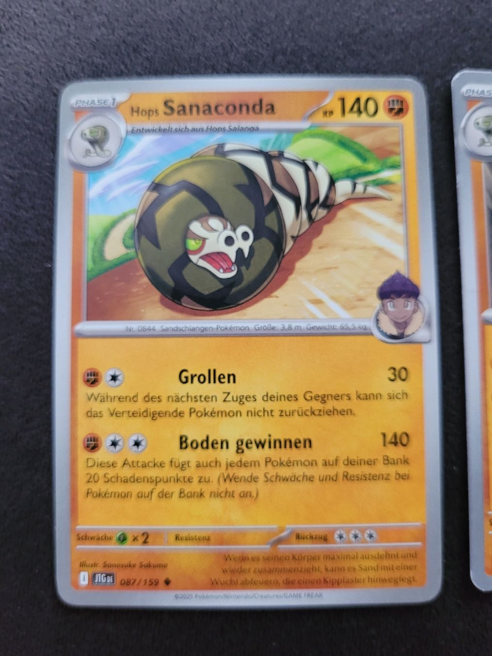 Pokémon Sammelbilder & Trading cards: Pokemon Karten Sanaconda – Gebraucht aus Gisikon von Flowerpower92 1