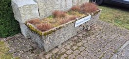 Pflanzentopf / Pflanzenkübel / Brunnen / Waschbeton