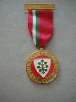 Abzeichen - Standeinweihungsschiessen Laupen - 1970