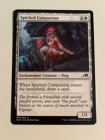 1 x Spirited Companion - Magic: The Gathering - MtG