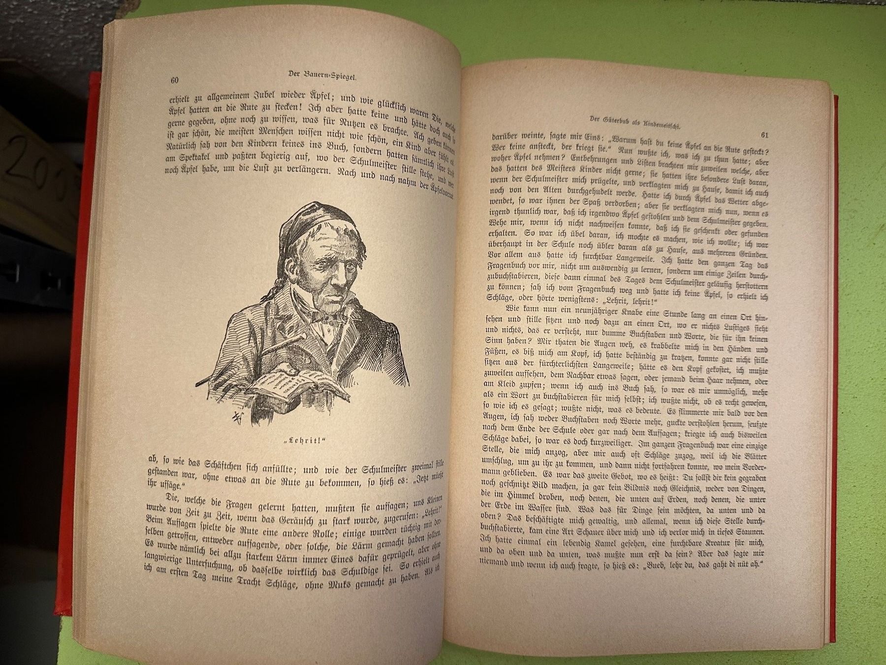 Bücher: Jeremias Gotthelf: Der Bauernspiegel. – Gebraucht aus Zürich von allp 3