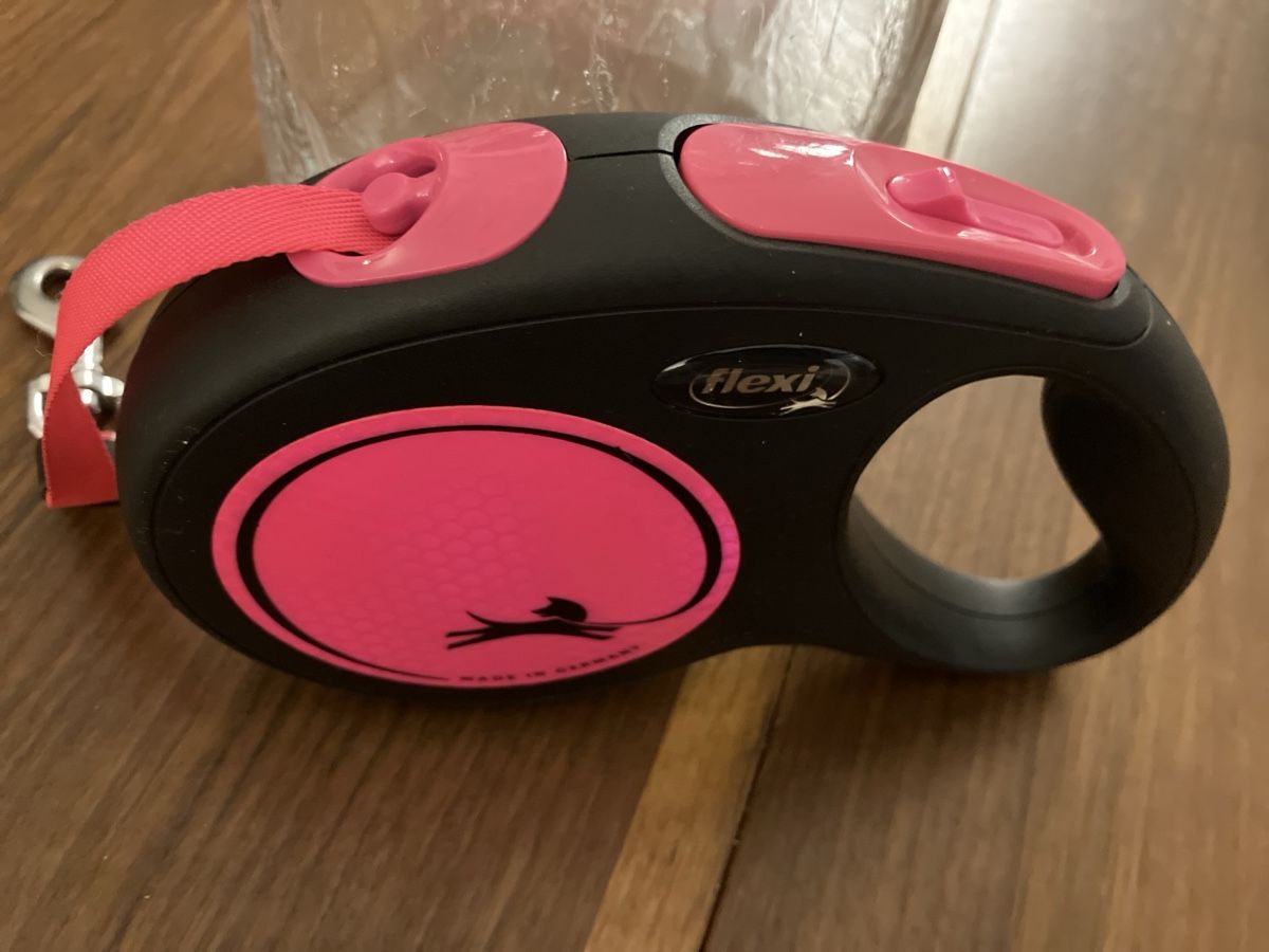 Flexi Leine & Halsband: Flexi Hundeleine 5 M – Gebraucht aus Herzogenbuchsee von stellafarella 3