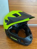Alpina Vollschutz-Helm