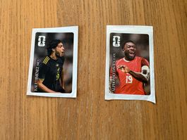 5 Coca Cola Kleber Panini 2026