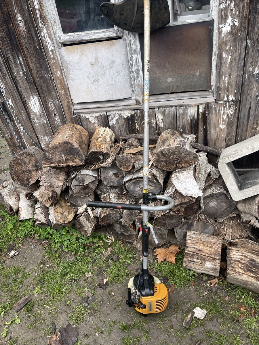 Tagliaerba: Gebrauchter Rasentrimmer – Usato da Bern venduto da SVTools 5