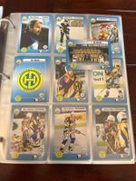 HC Davos HCD Player Trading Cards Sammelkarten 1993/94