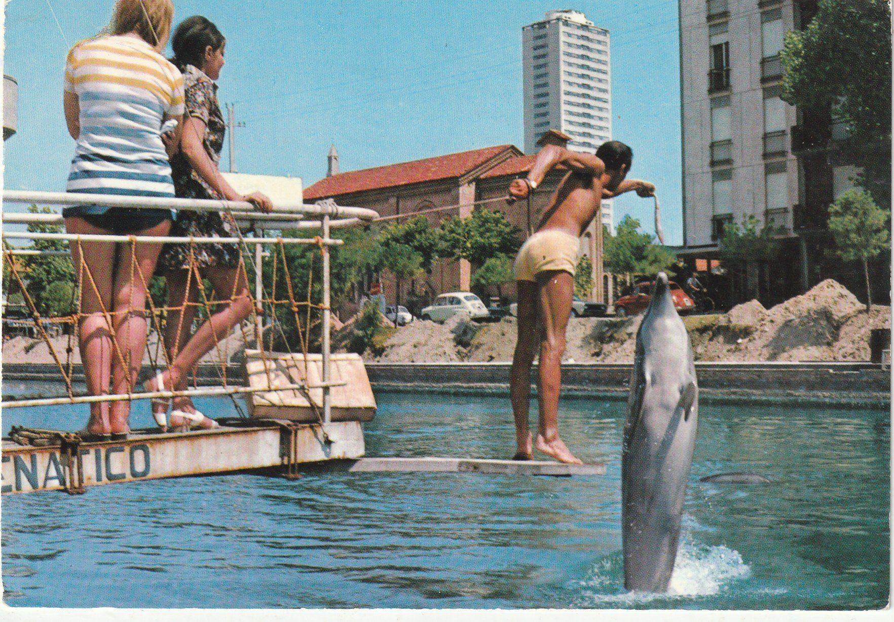 Cartoline postali: Cesenatico Aquarium – Usato da Lumbrein venduto da made02