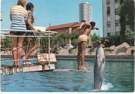 Cesenatico Aquarium