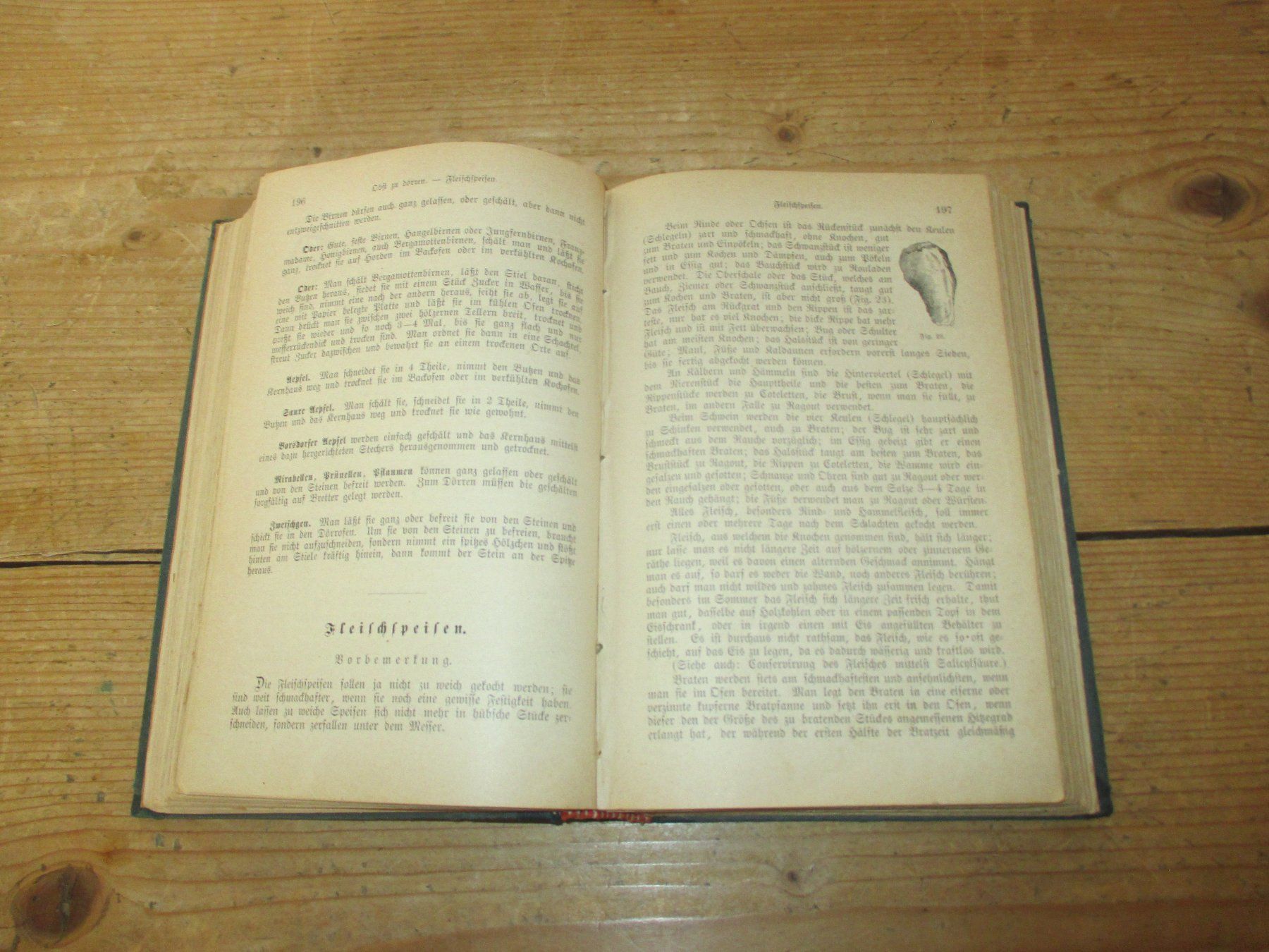 Libri: "Das Hauswesen" von 1880 – Usato da Flims - Dorf venduto da Stagediver 4