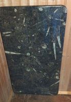 Fossilien-Tischplatte, seltenes Sammlerstuck! Unikat 125x70