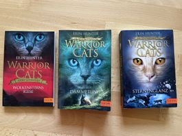 3 Warrior Cats Bücher von Erin Hunter guter Zustand