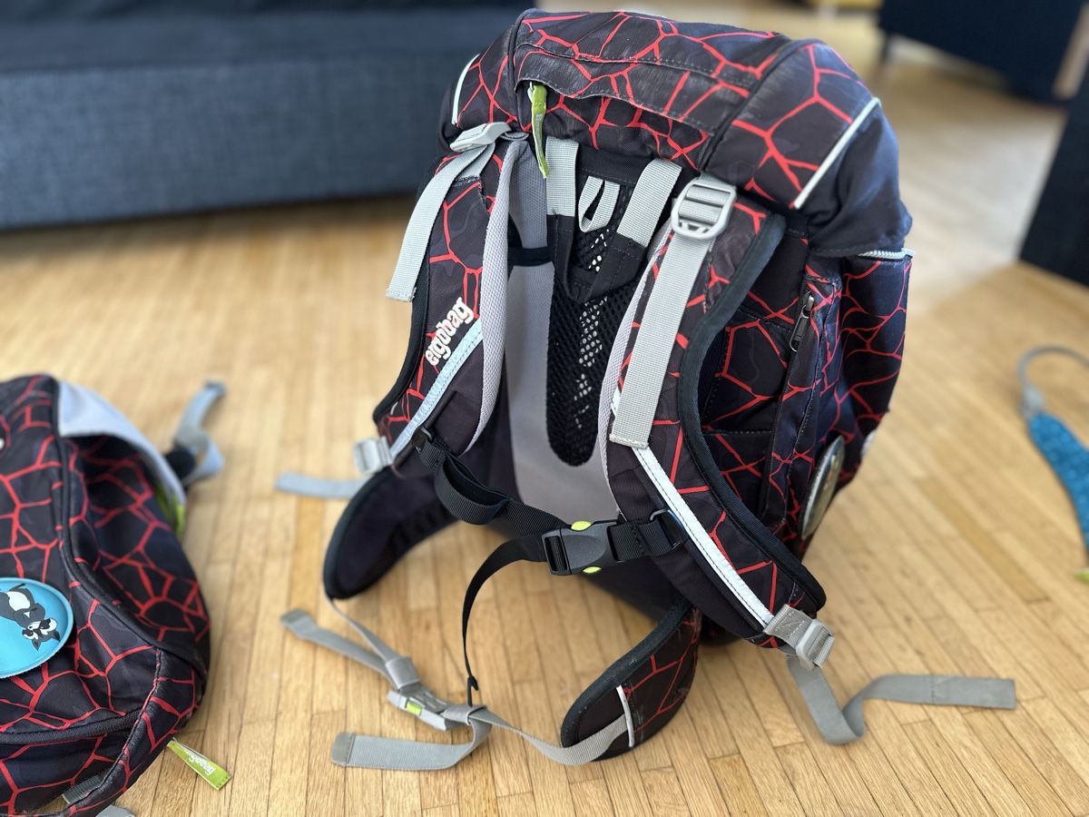 Ergobag Sacs & sacs à dos: Ergobag, mit Regenschutz, Turnrucksack und Teiler – D'occasion à Altstätten SG par sar_65sw 1