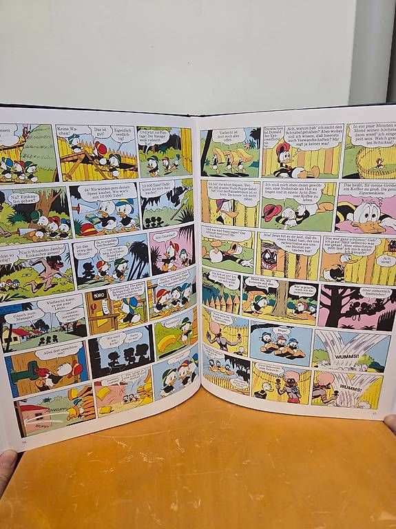 Libri: Ich, Donald Buch – Usato da Basel venduto da mtu_gmj2 1