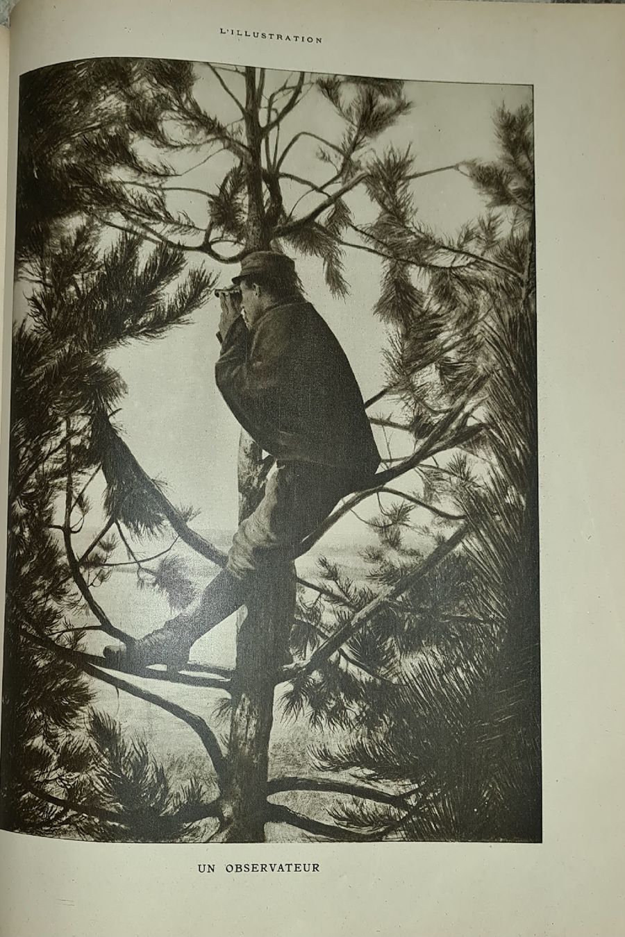 Zeitschriften & Magazine: l'illustration / 1915 / Vol.2 – Gebraucht aus Cortaillod von signep 5