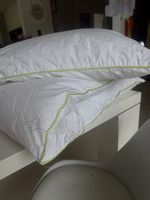 GREENFIRST Gold Entendaunen-Duvet 