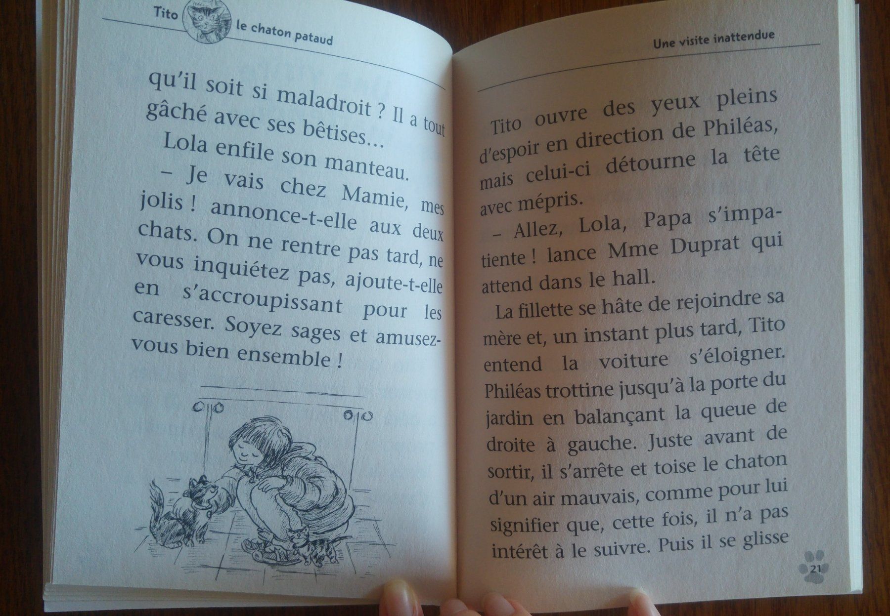 Libri: 11 livres 100% animaux – Usato da Fribourg venduto da Alexia90 4